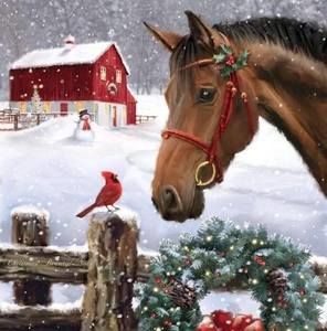 Meet your Posher, Barbara